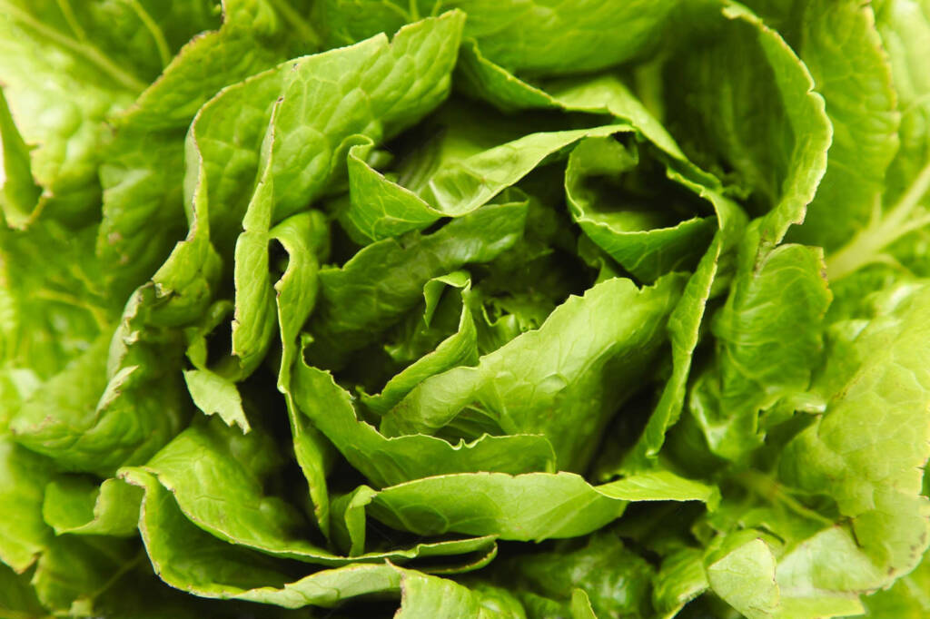 Φυλλώδη Λαχανικά Romana