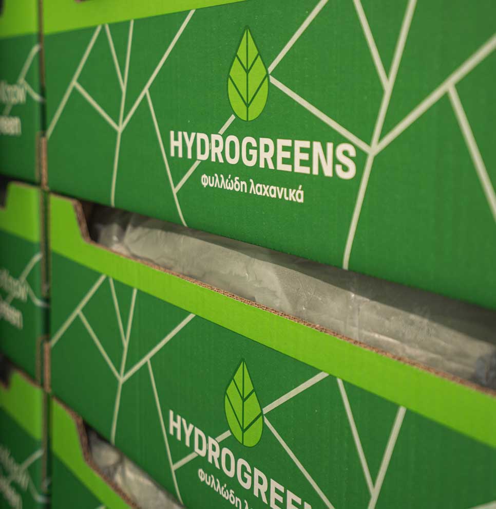 Υδροπονικά Θερμοκήπια 2